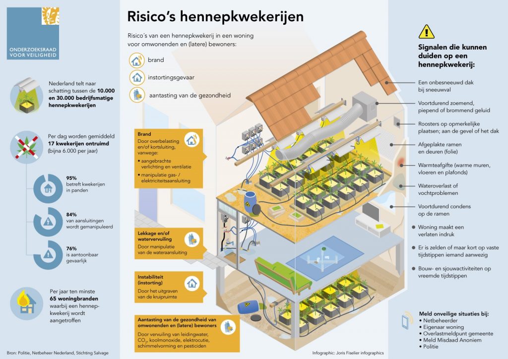 risico's hennepkwekerijen